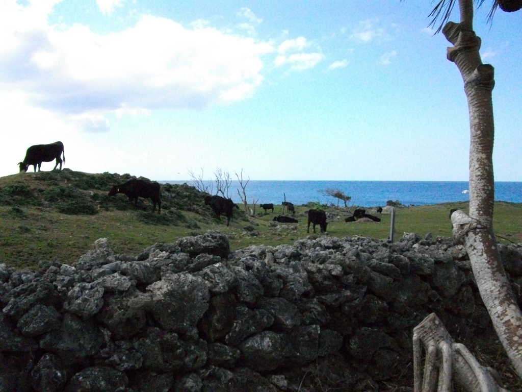 与那国島