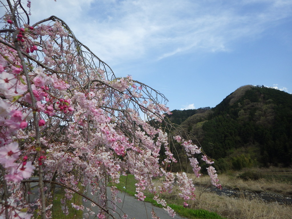 栃木県鹿沼市
