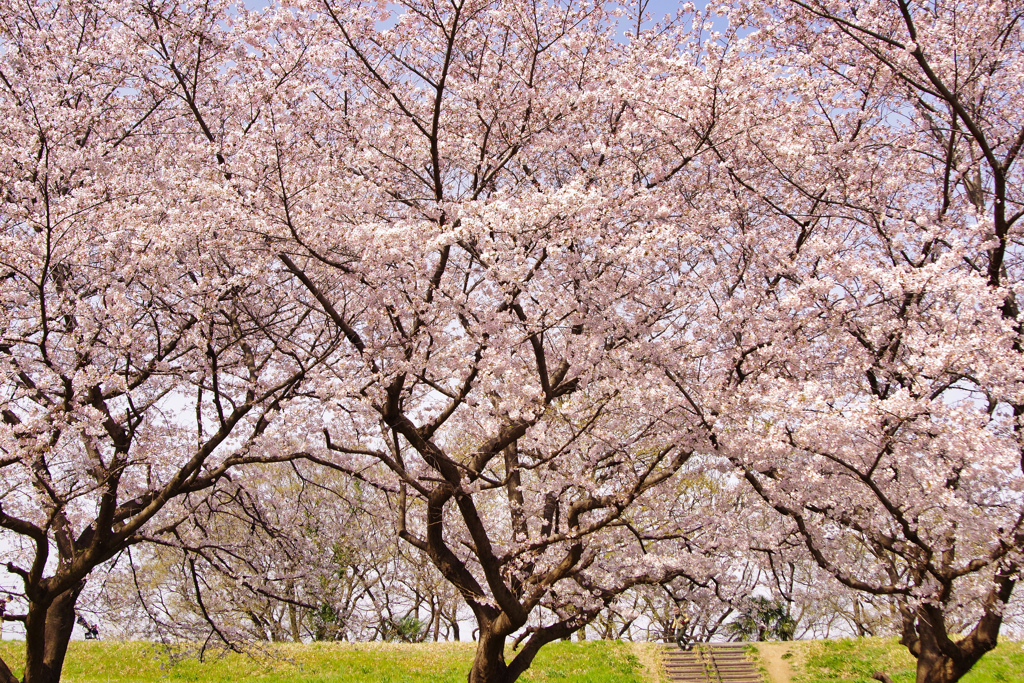 埼玉県川越市