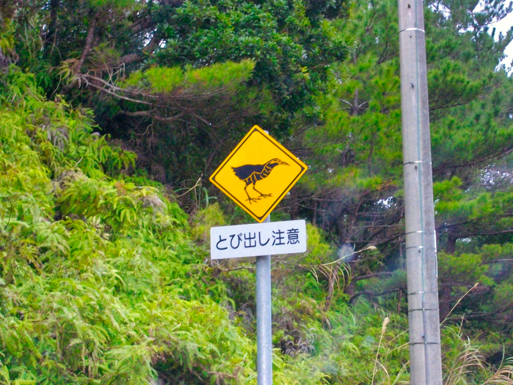 沖縄県国頭郡国頭村