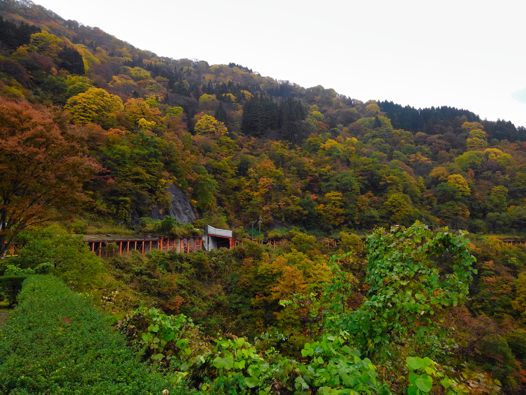 富山県南砺市