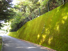 静岡県榛原郡川根本町