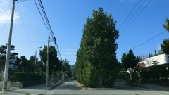 沖縄県島尻郡久米島町真謝