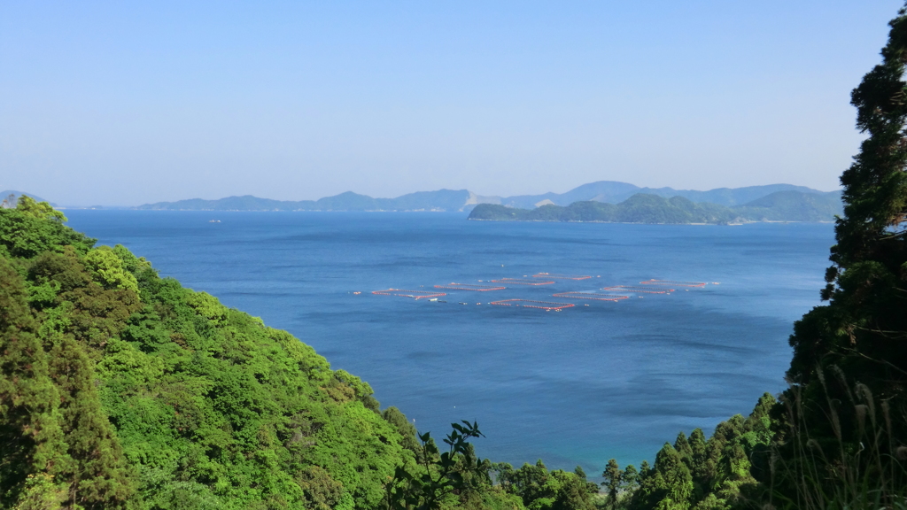 大分県臼杵市深江泊ケ内