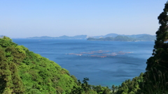 大分県臼杵市深江泊ケ内