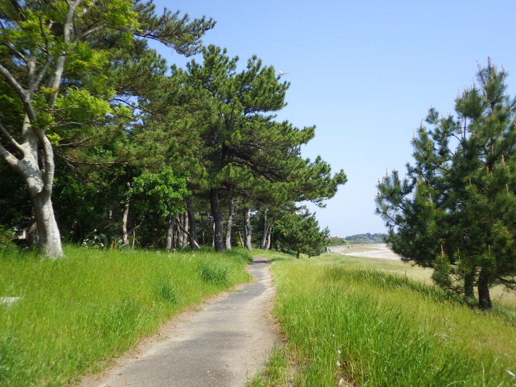 大分県国東市