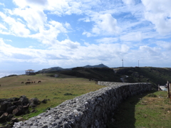 沖縄県八重山郡与那国町