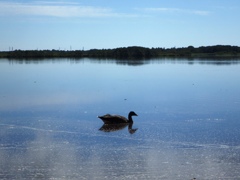 北海道苫小牧市