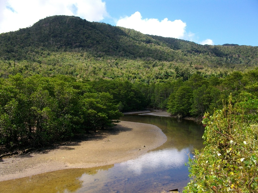 西表島