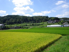 兵庫県佐用郡佐用町