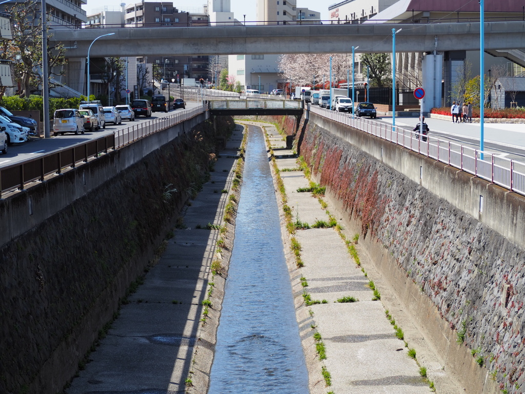 東京都杉並区