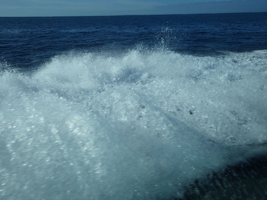 東シナ海