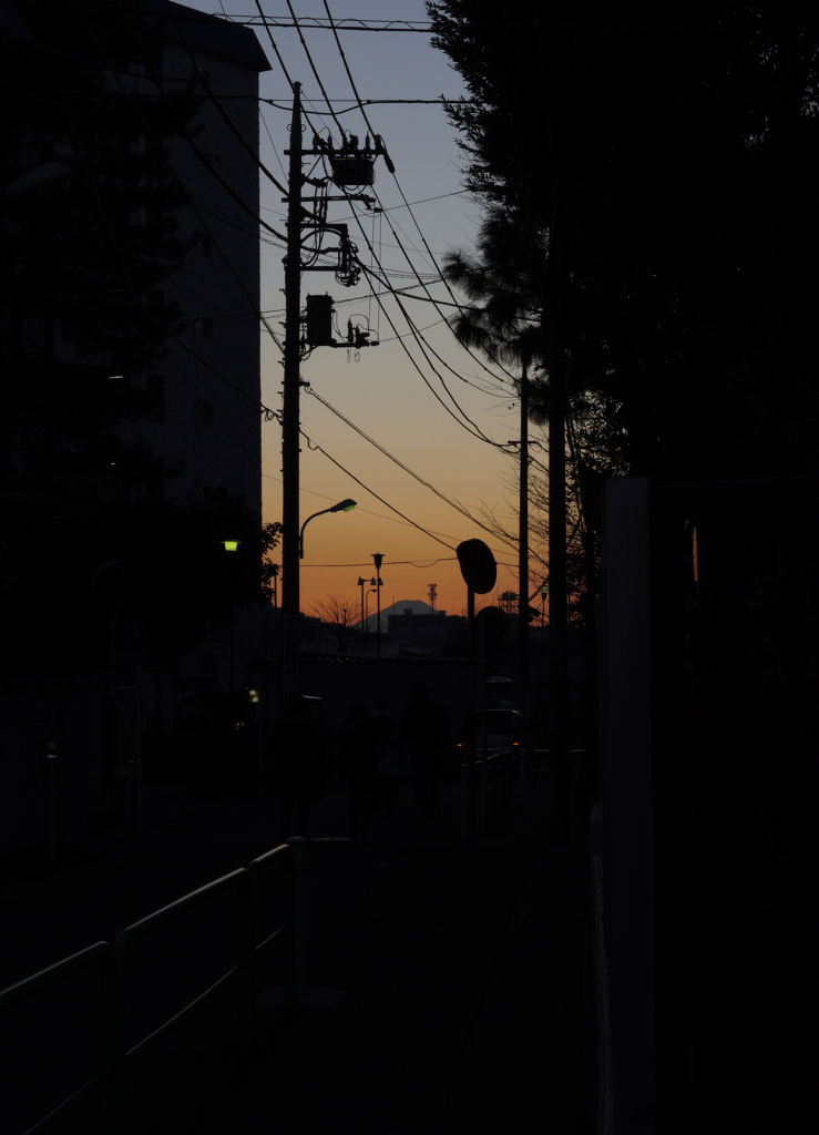 道の先に見えるのは