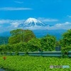 行列のできるGWの富士山