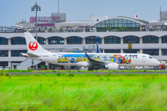 JAL MINION JET