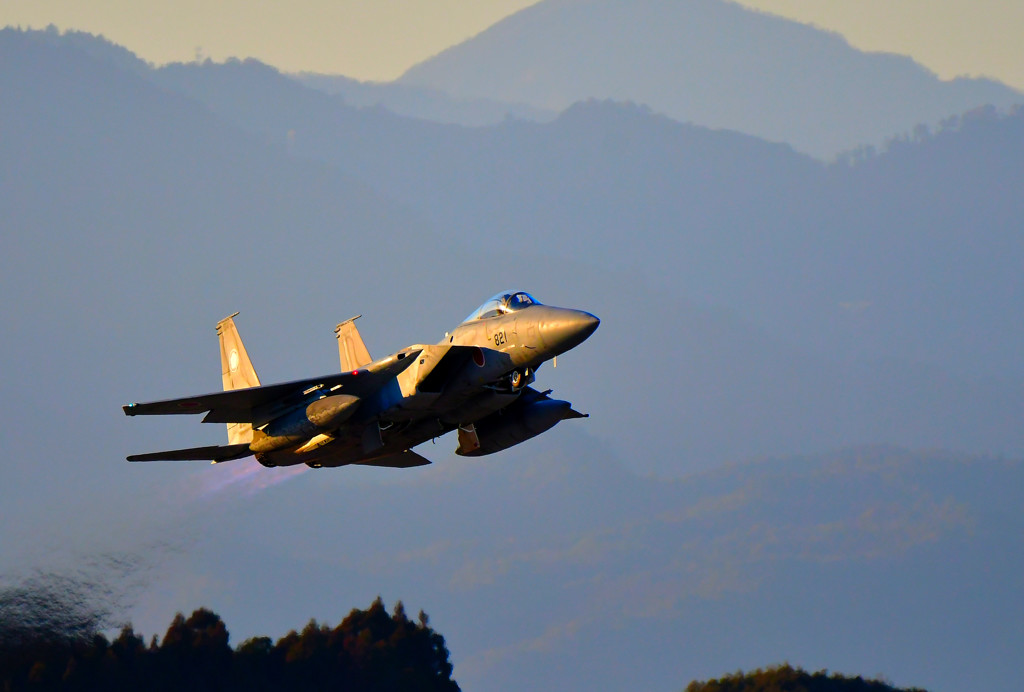 Evening Eagle