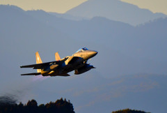 Evening Eagle