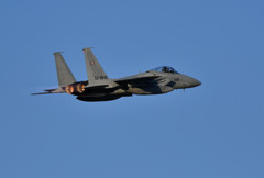F-15　～パンダ～２
