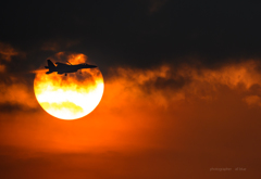 Sunset　Eagle　Silhouette