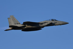 F-15　～パンダ～１
