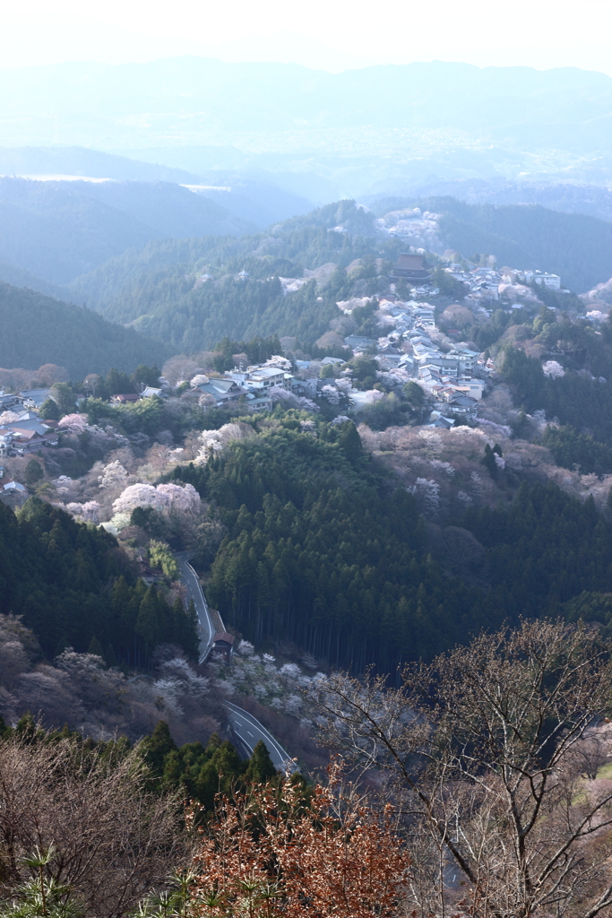 2018.3.29 昼の吉野山