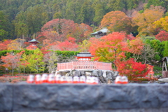 2018.11.19 勝尾寺