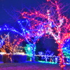 2018.12.19 貴志川イルミネーション