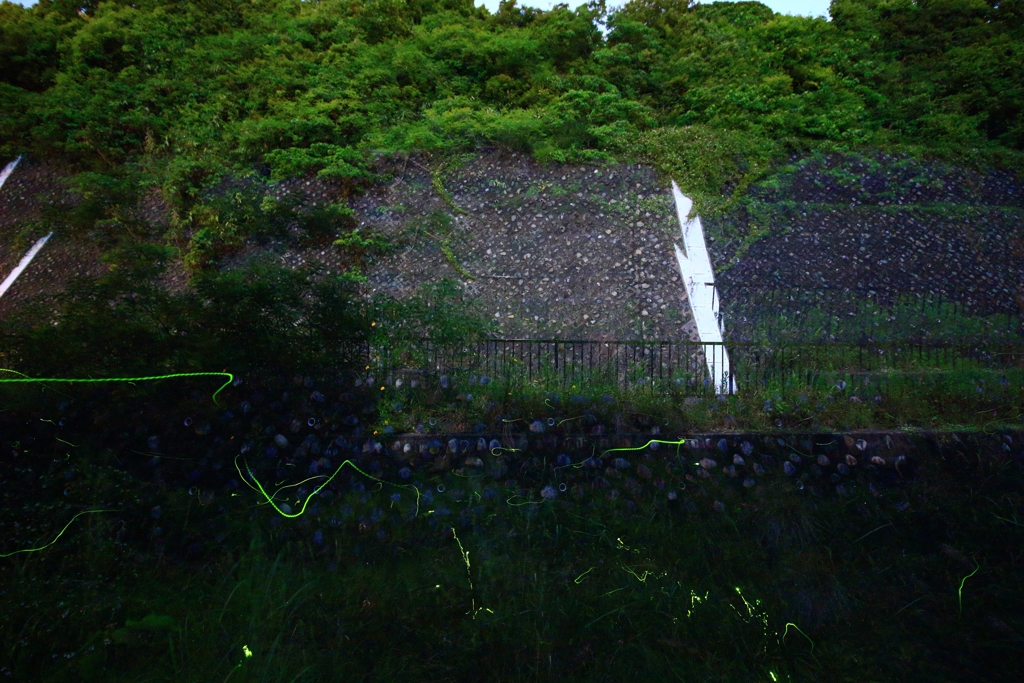 2017.6.3