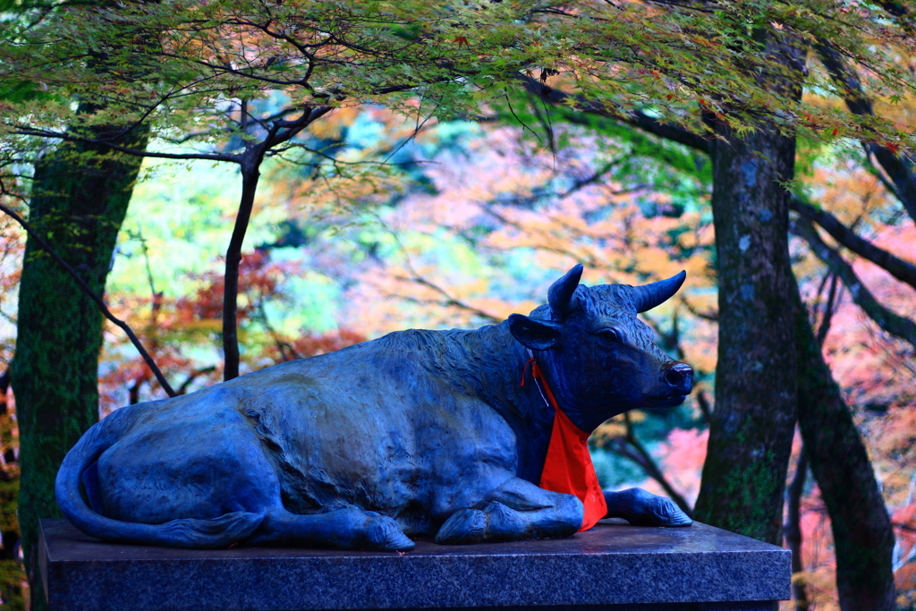 2017.11.25 大威徳寺