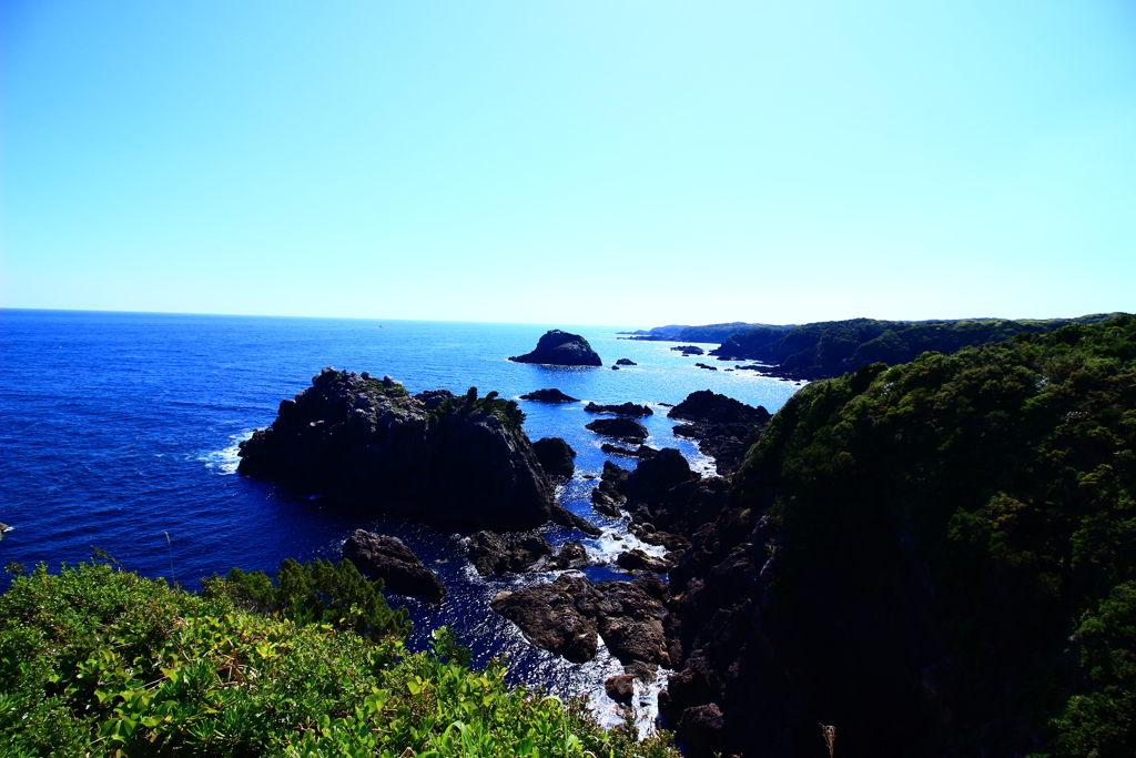2017.4.23 海金剛