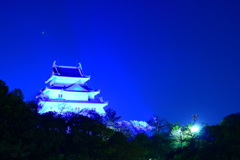 2018.4.2 和歌山城