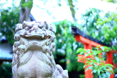 2017.6.22 玉津島神社