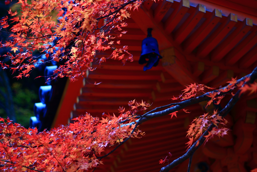 2017.11.25 大威徳寺