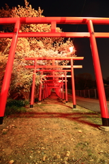 2018.3.29 丸高神社