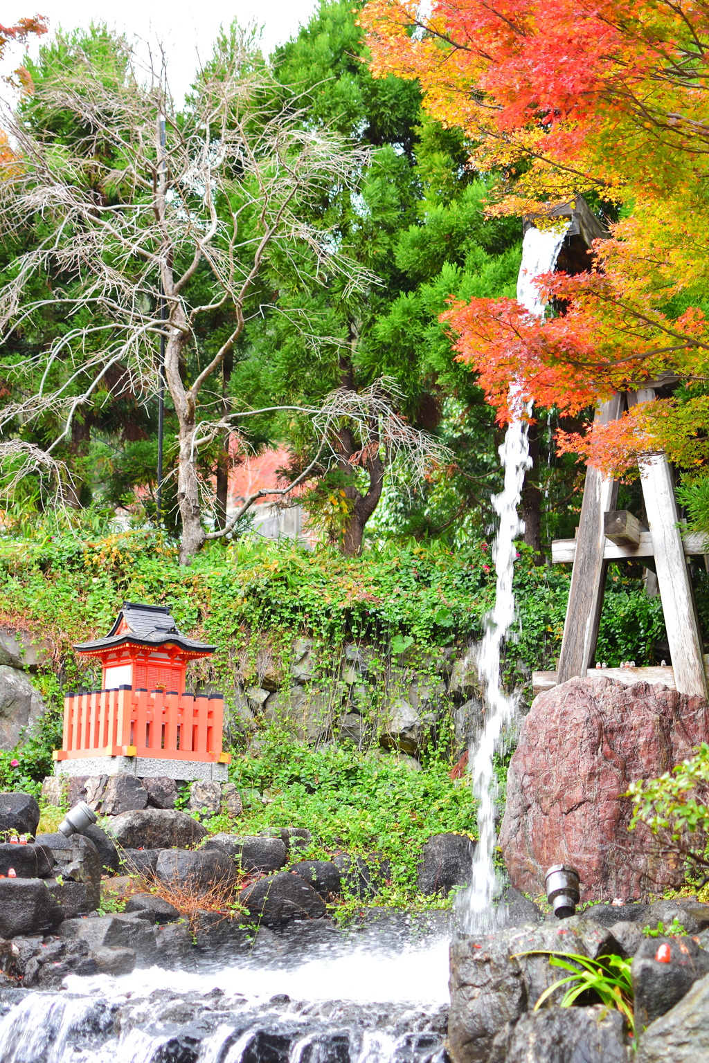 2018.11.19 勝尾寺
