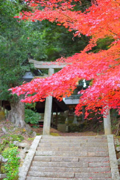 2018.11.19 多吉神社