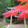 2018.11.19 多吉神社