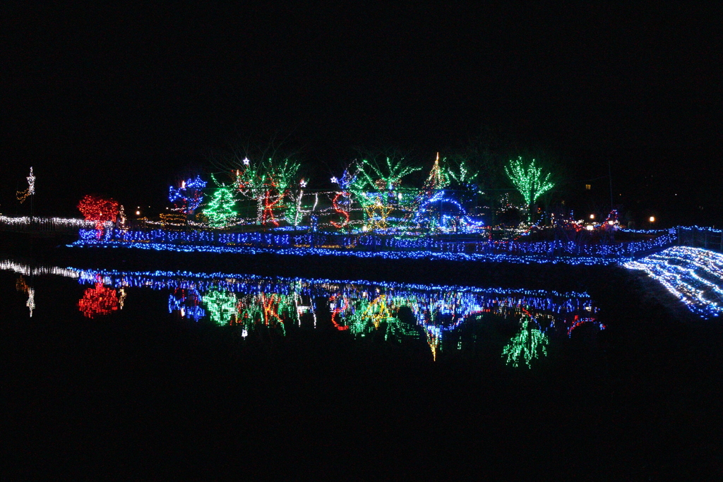 2017.1.7   平池公園