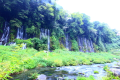 2017.8.27  白糸の滝