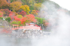 2018.11.19 勝尾寺