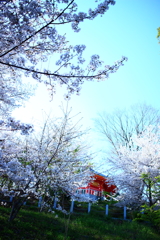 2018.3.28 霊現寺