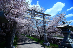 2017.4.13 大年神社