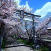 2017.4.13 大年神社