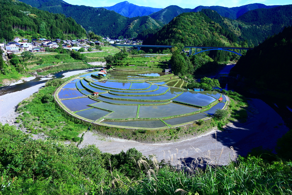 2017.5.27 あらぎ島