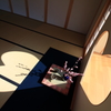 梅の花とハート