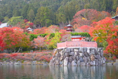 2018.11.19 勝尾寺