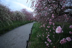 2017.3.14 和泉リサイクル環境公園