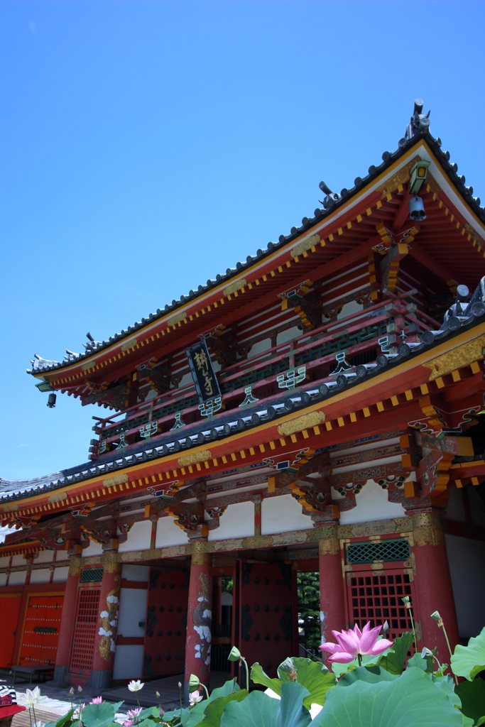 2017.8.1 耕三寺