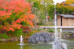 2018.11.19 勝尾寺