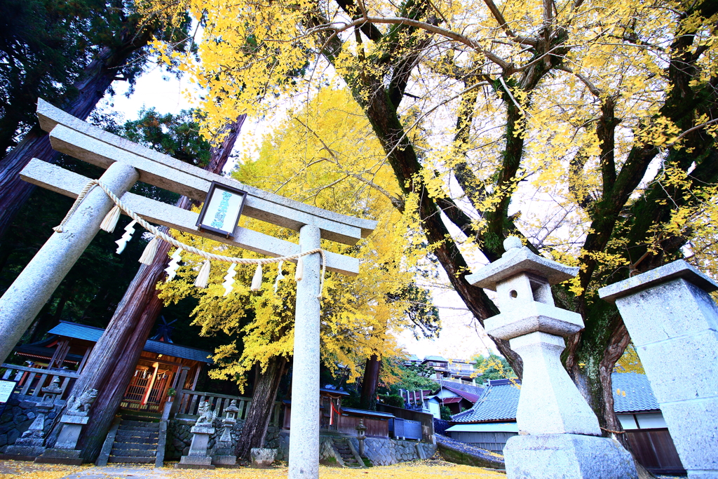 a2017.11.23 賀茂神社